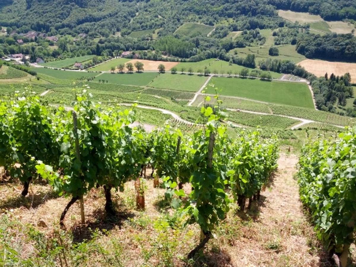Vila Au Bord De Seille Nevy-Sur-Seille Exteriér fotografie